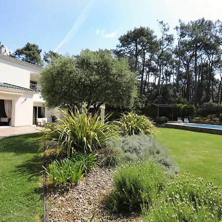 Villa Elegant For 10 With Pool In The Heart Of An Ocean-view Setting