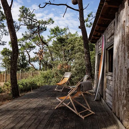 Elegant For 10 With Pool In The Heart Of An Ocean-view Setting Talmont-Saint-Hilaire