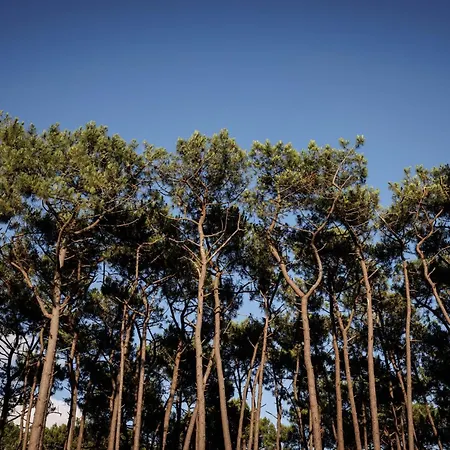 Elegant For 10 With Pool In The Heart Of An Ocean-view Setting *