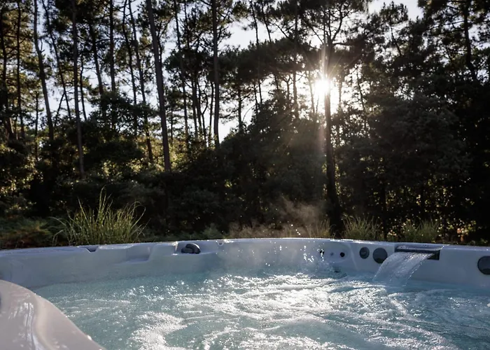 Elegant For 10 With Pool In The Heart Of An Ocean-view Setting Talmont-Saint-Hilaire