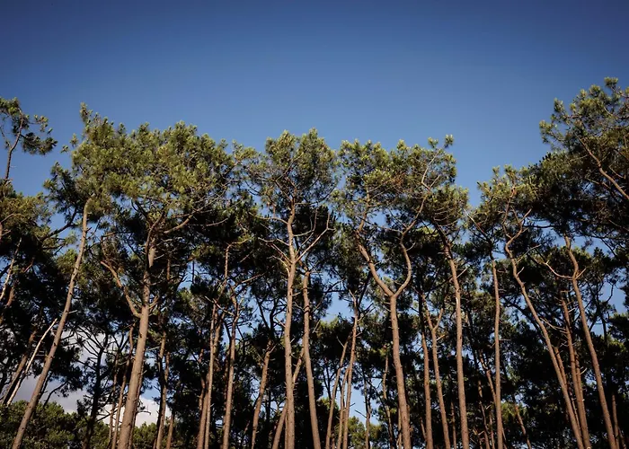 Elegant For 10 With Pool In The Heart Of An Ocean-view Setting *